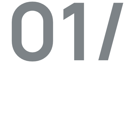 We Improve Your Chances of Project Success